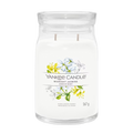 Vela Grande MIDNIGHT JASMINE (526g)
